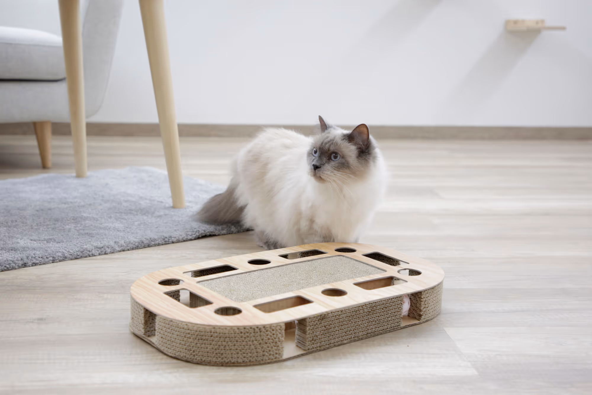 Griffoir pour chat Ovalo 52X31X8,5cm, avec CatNip