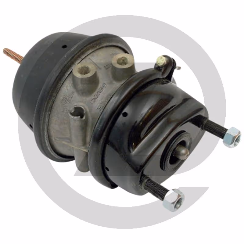 Haldex Cylindre combiné - 16/24 Blue Seal
