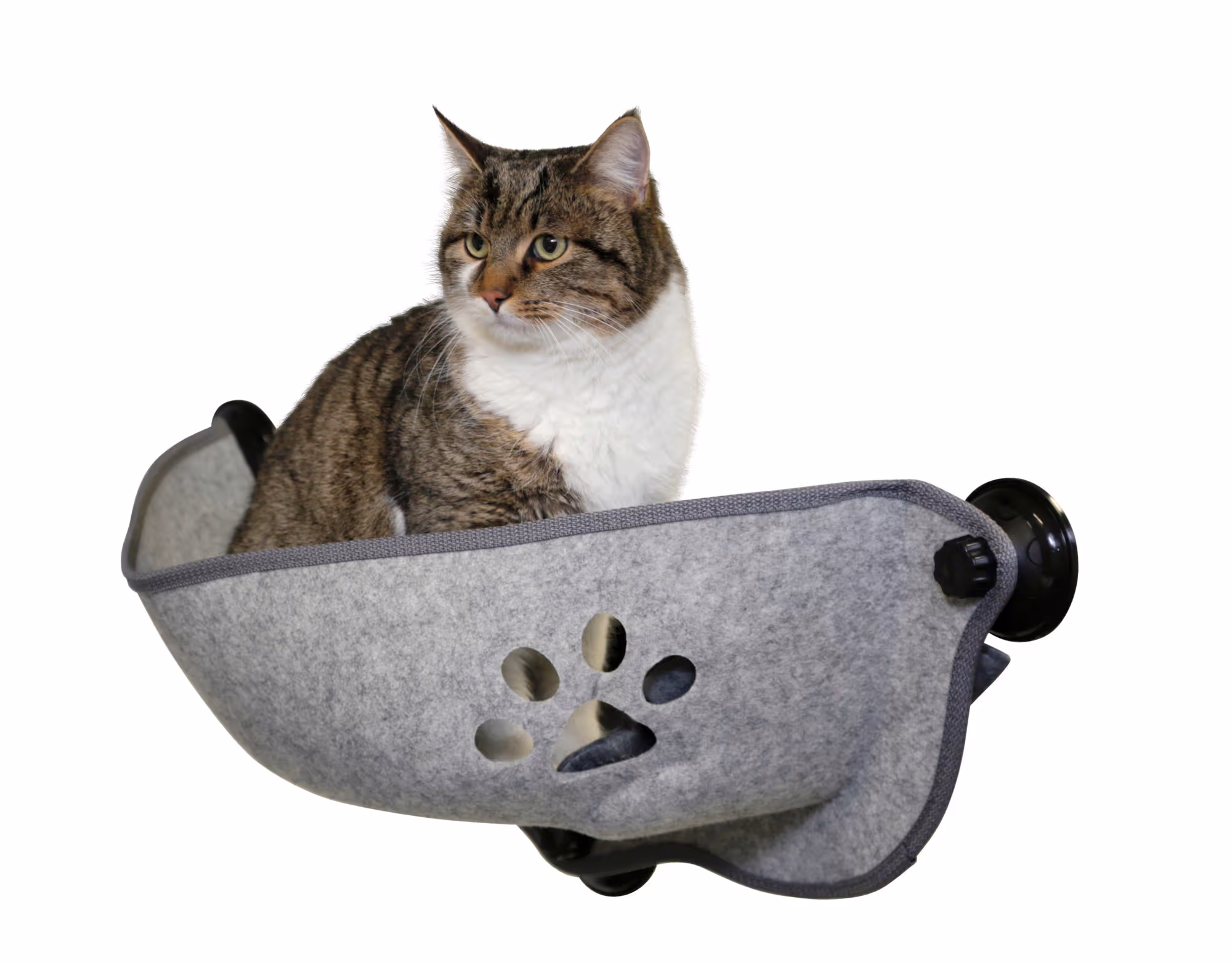 Hamac de fenêtre Filzino gris, 70x26x26cm, max.12kg