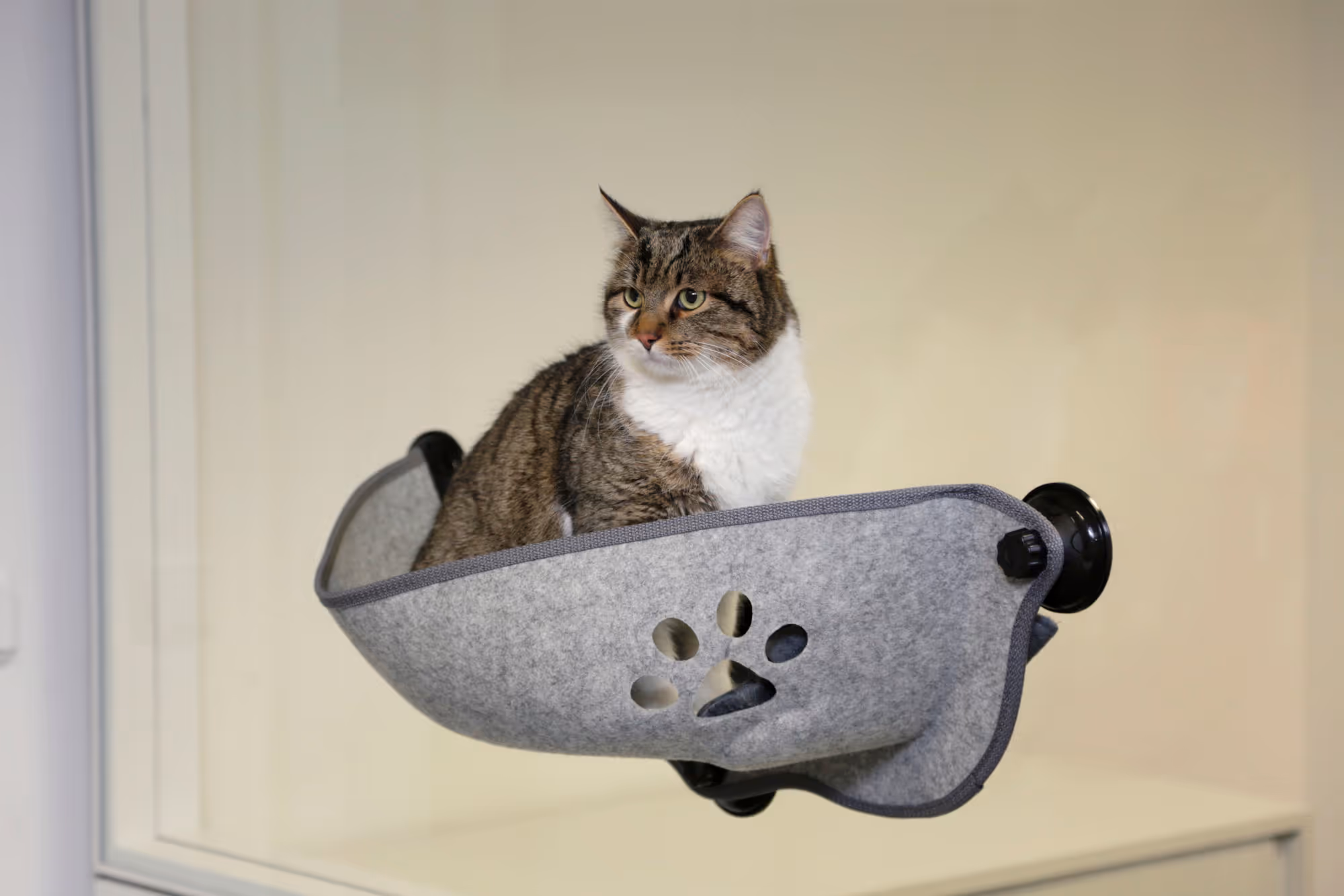 Hamac de fenêtre Filzino gris, 70x26x26cm, max.12kg