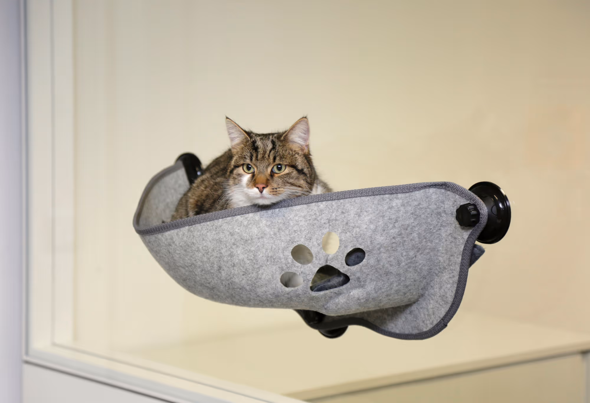 Hamac de fenêtre Filzino gris, 70x26x26cm, max.12kg