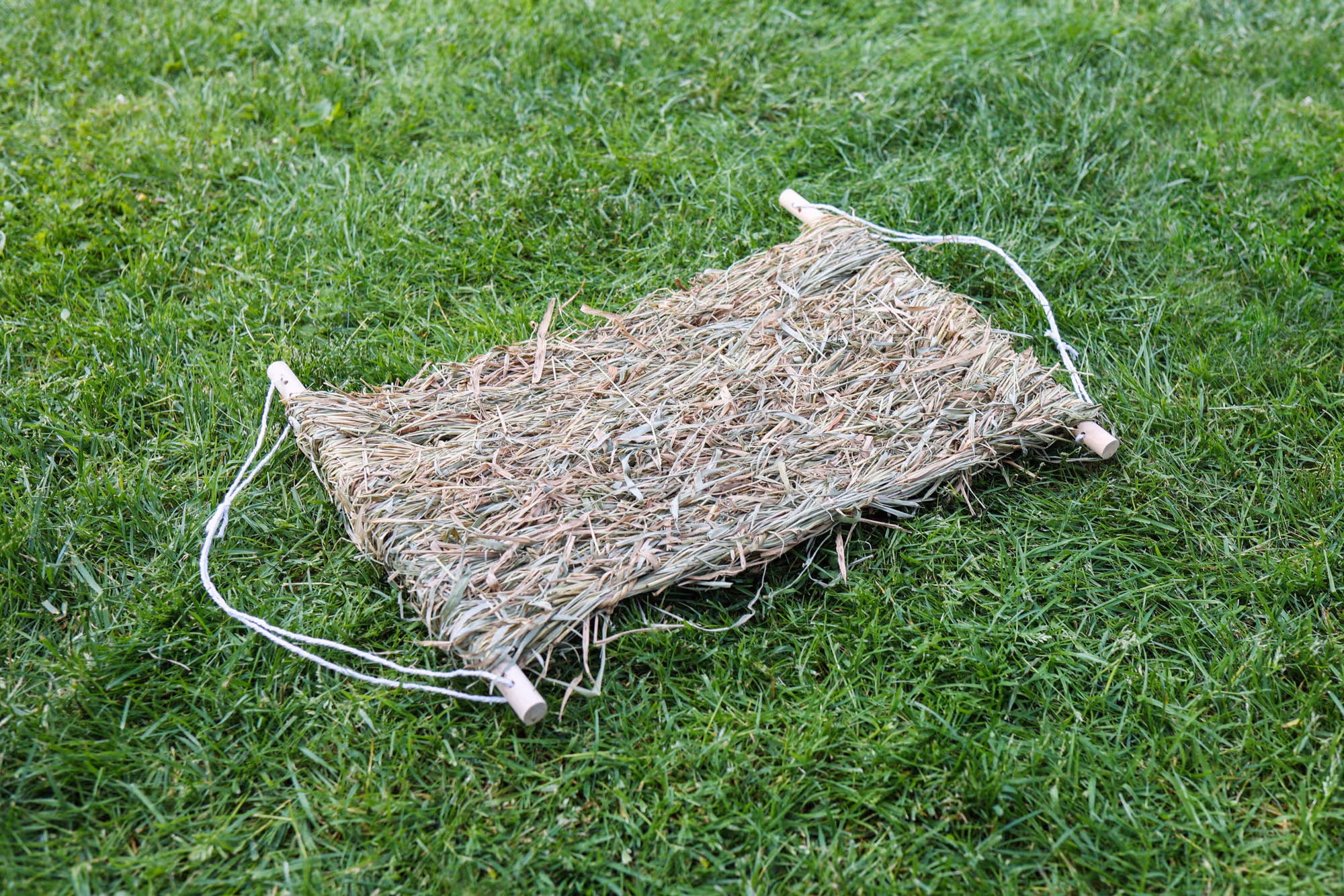 Hamac de rechange pour rongeur Siesta, ref.82796