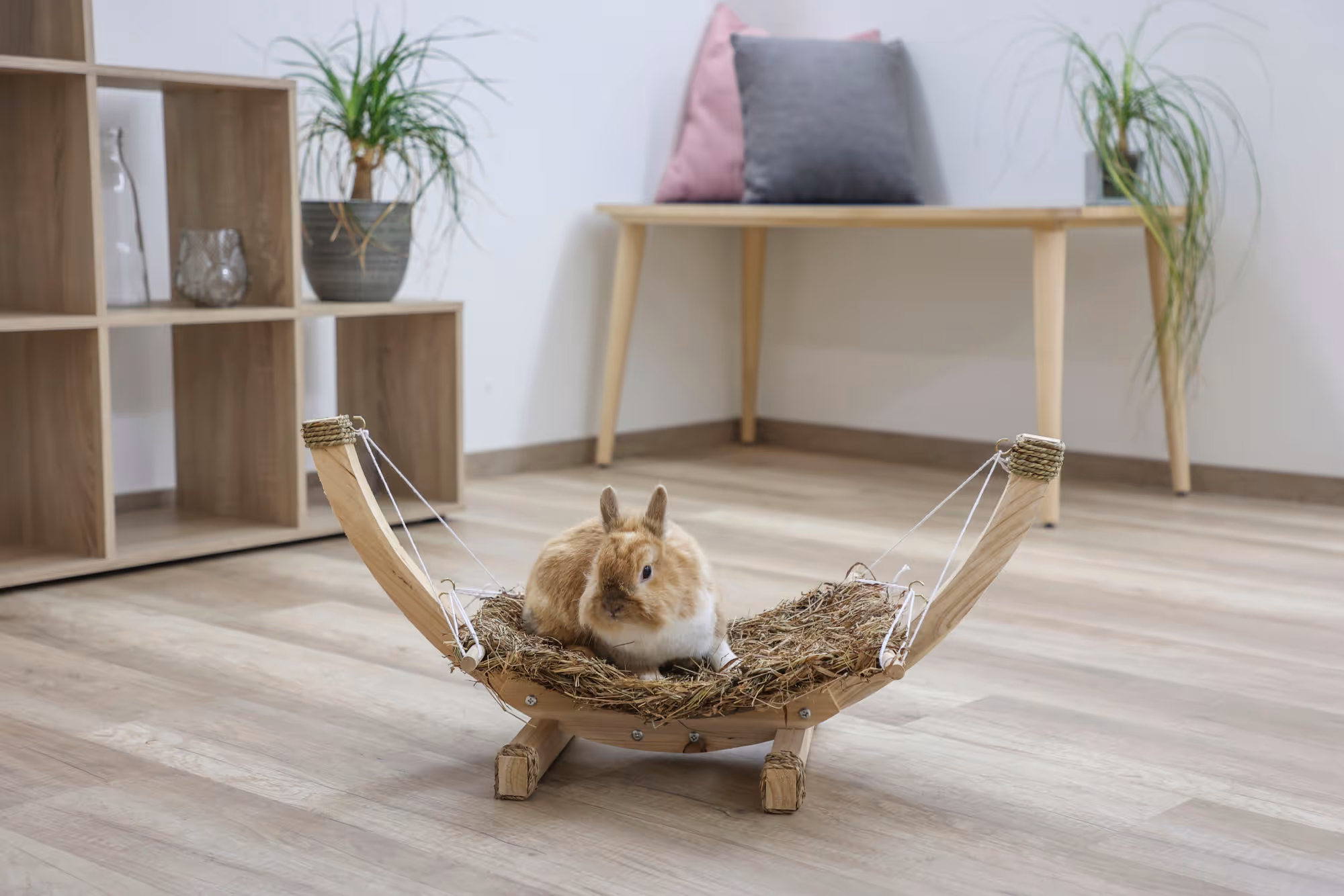 Hamac en herbe pour rongeur Siesta, 73X36X34cm