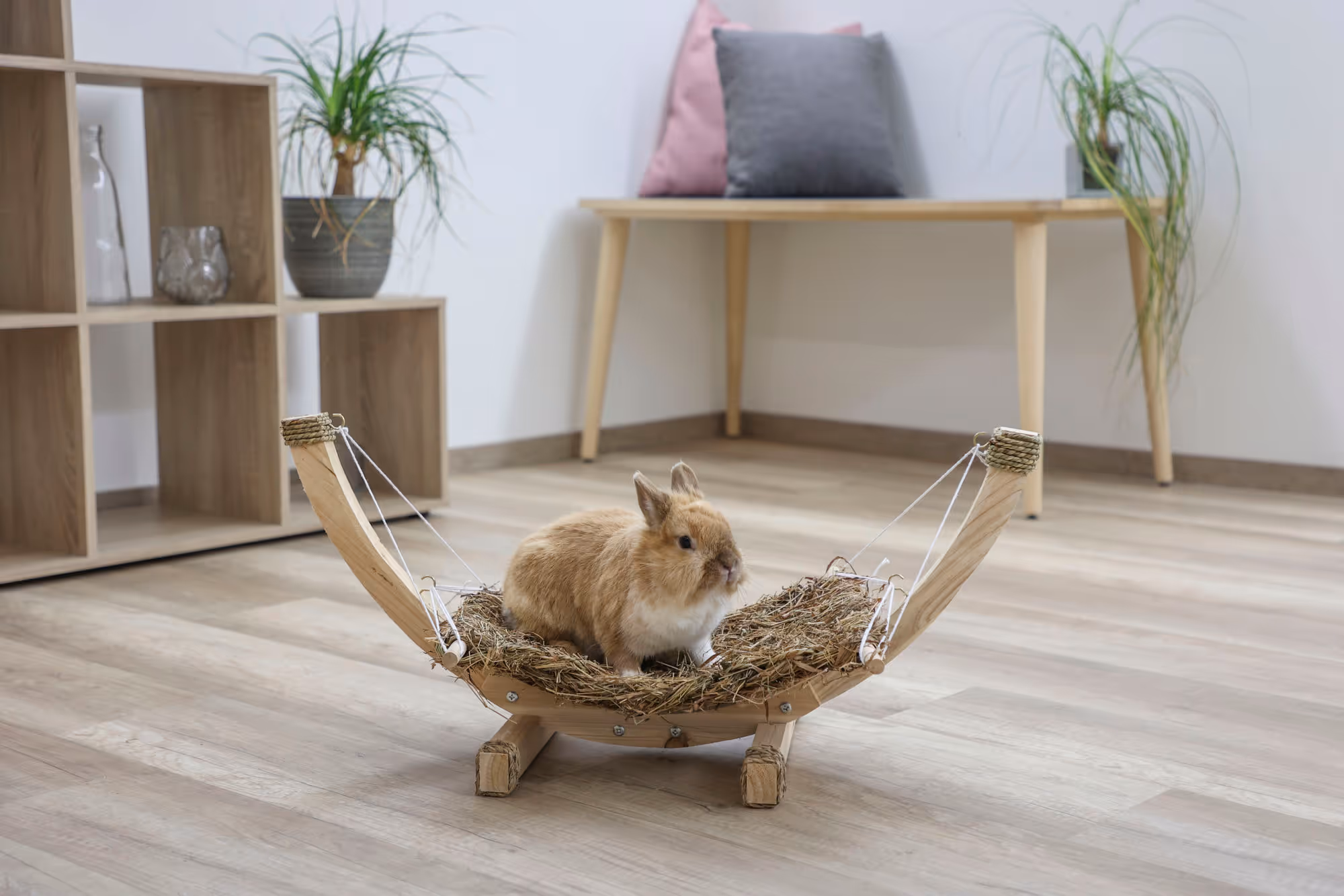 Hamac en herbe pour rongeur Siesta, 73X36X34cm