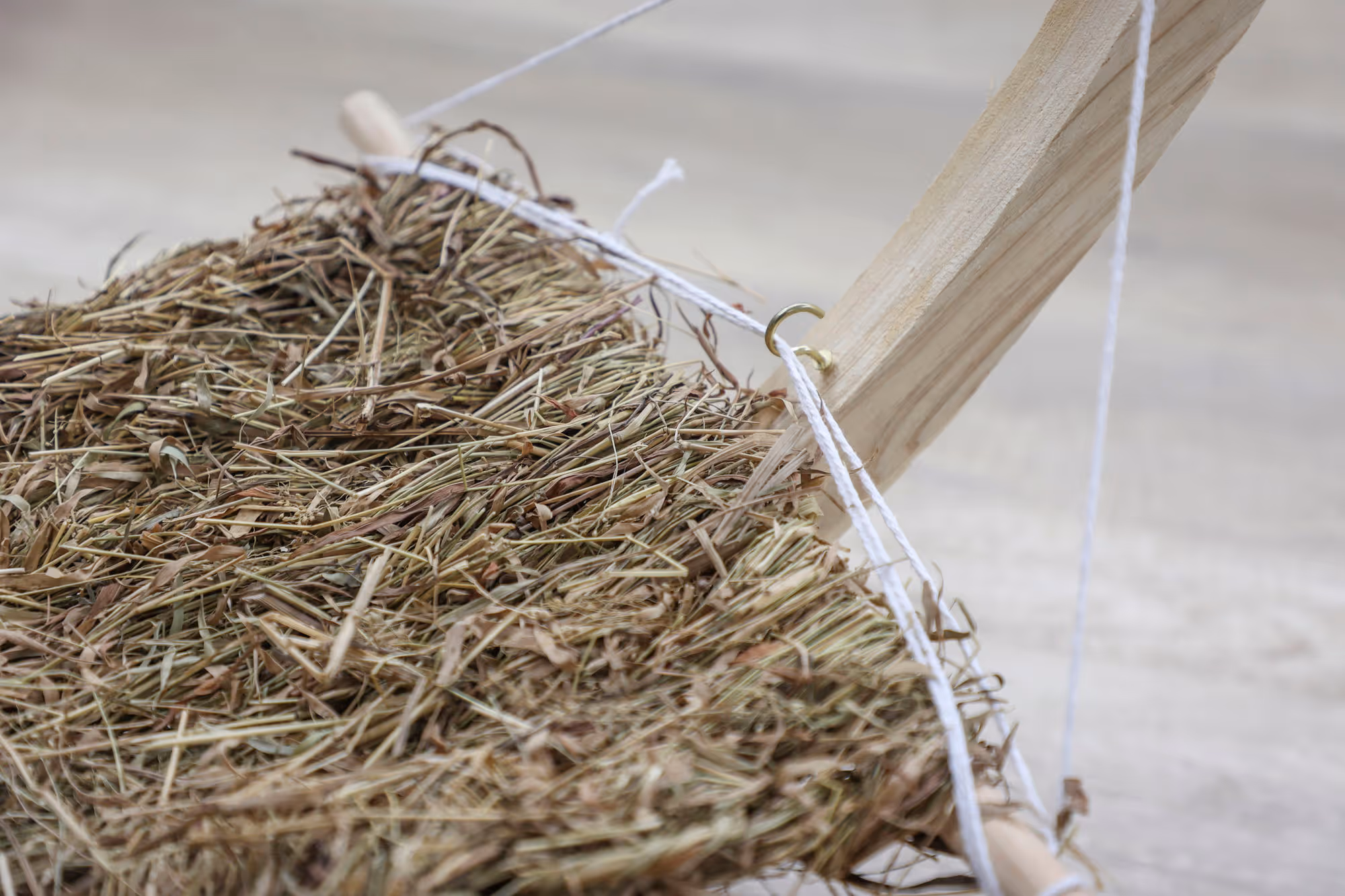 Hamac en herbe pour rongeur Siesta, 73X36X34cm
