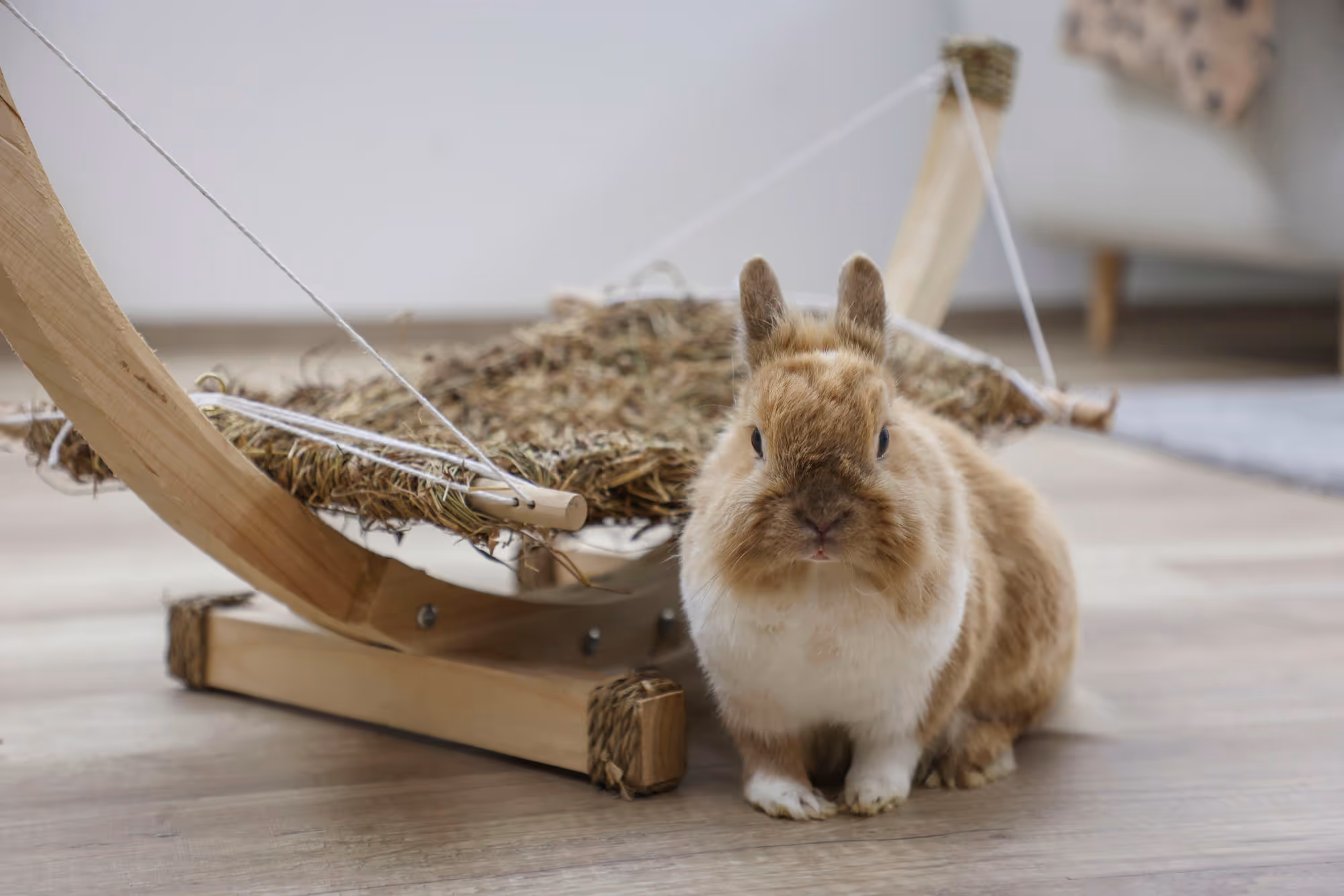 Hamac en herbe pour rongeur Siesta, 73X36X34cm