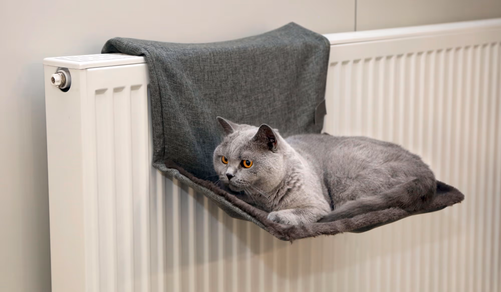 Hamac pour chat Paradies gris, 45X30cm
