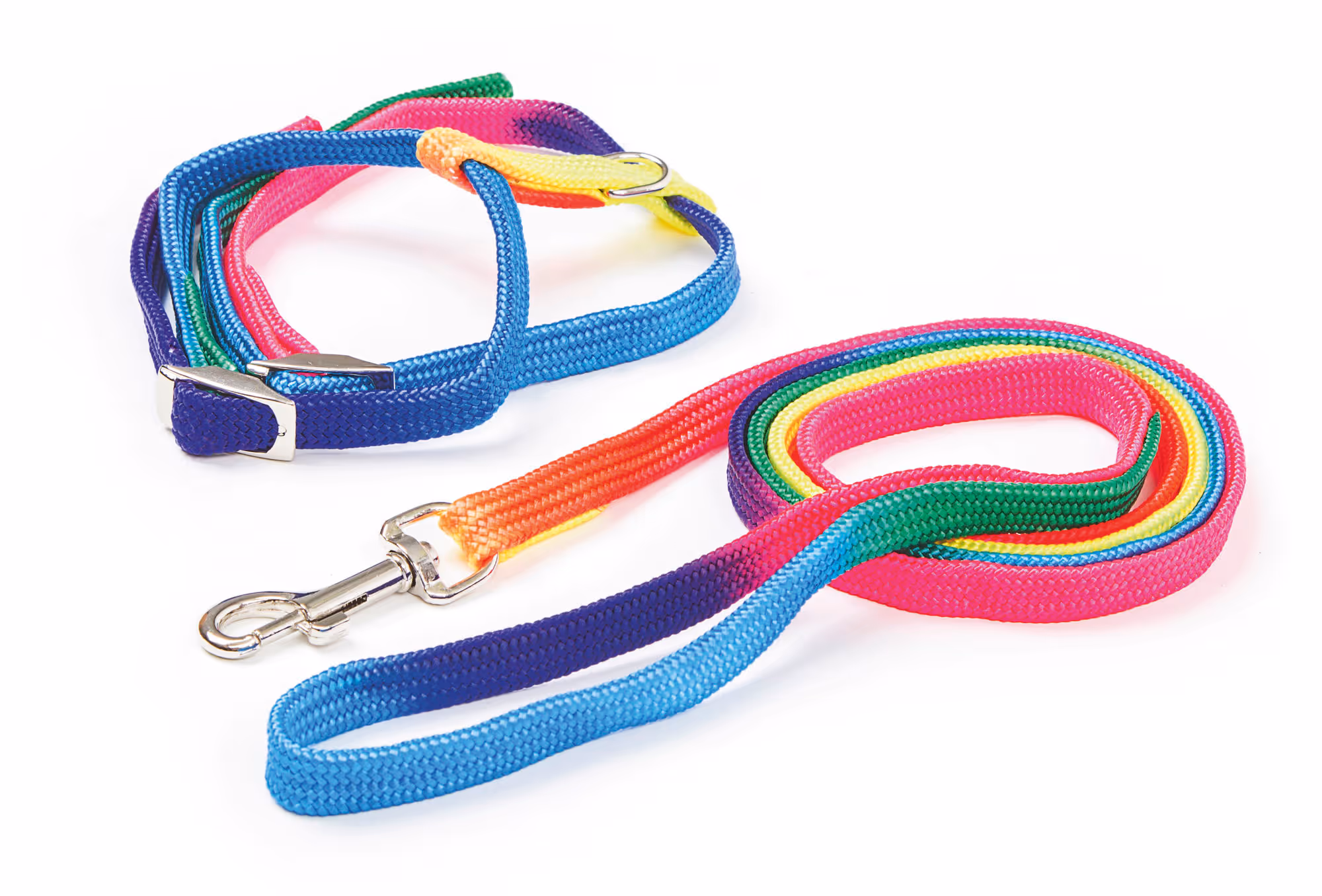 Harnais pour chat Rainbow multicolore, avec laisse 120cm
