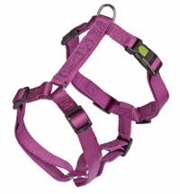 Harnais pour chien Miami violet, 25mm 75 - 100 cm