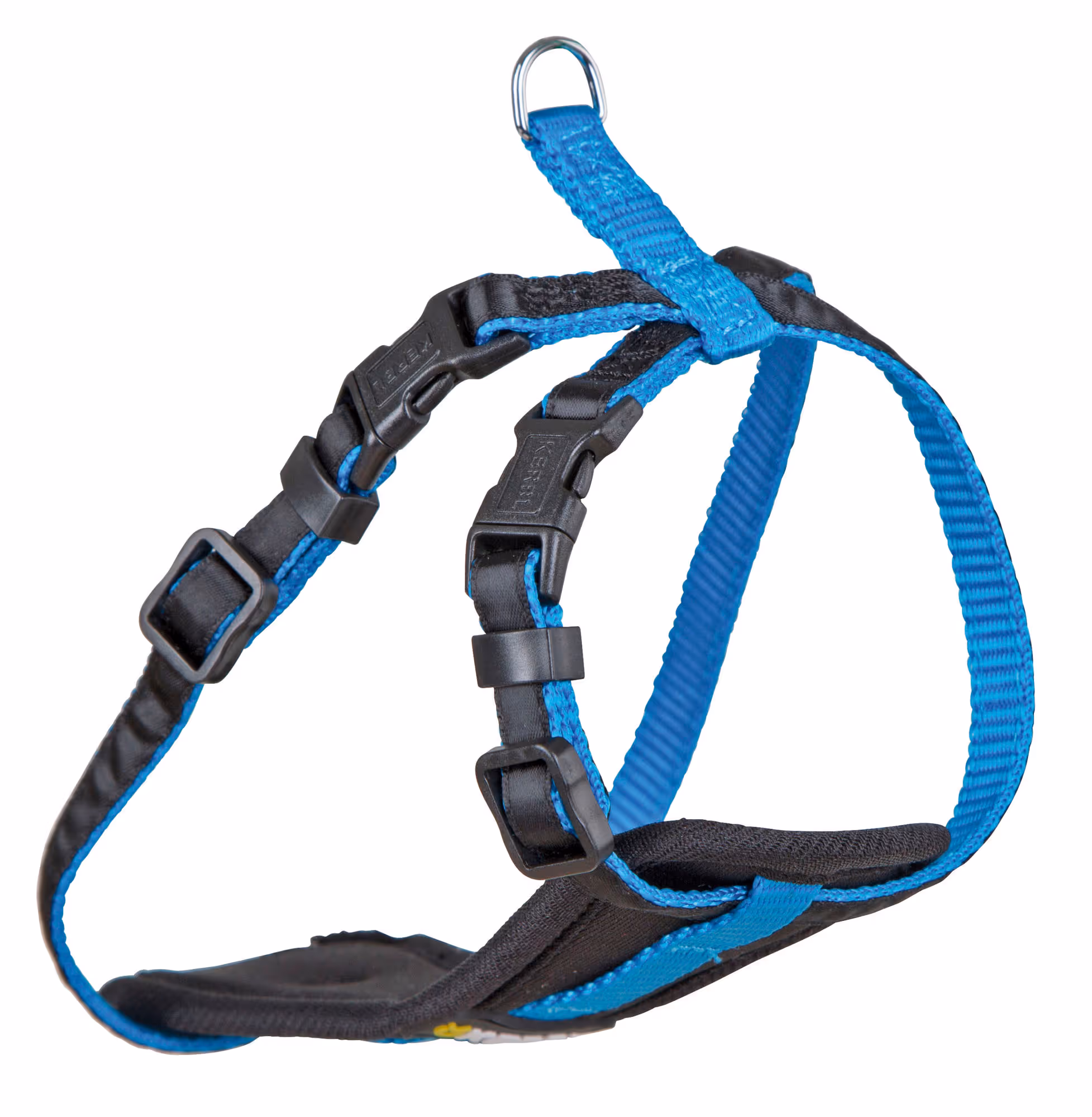 Harnais pour petits chiens XS, bleu neon