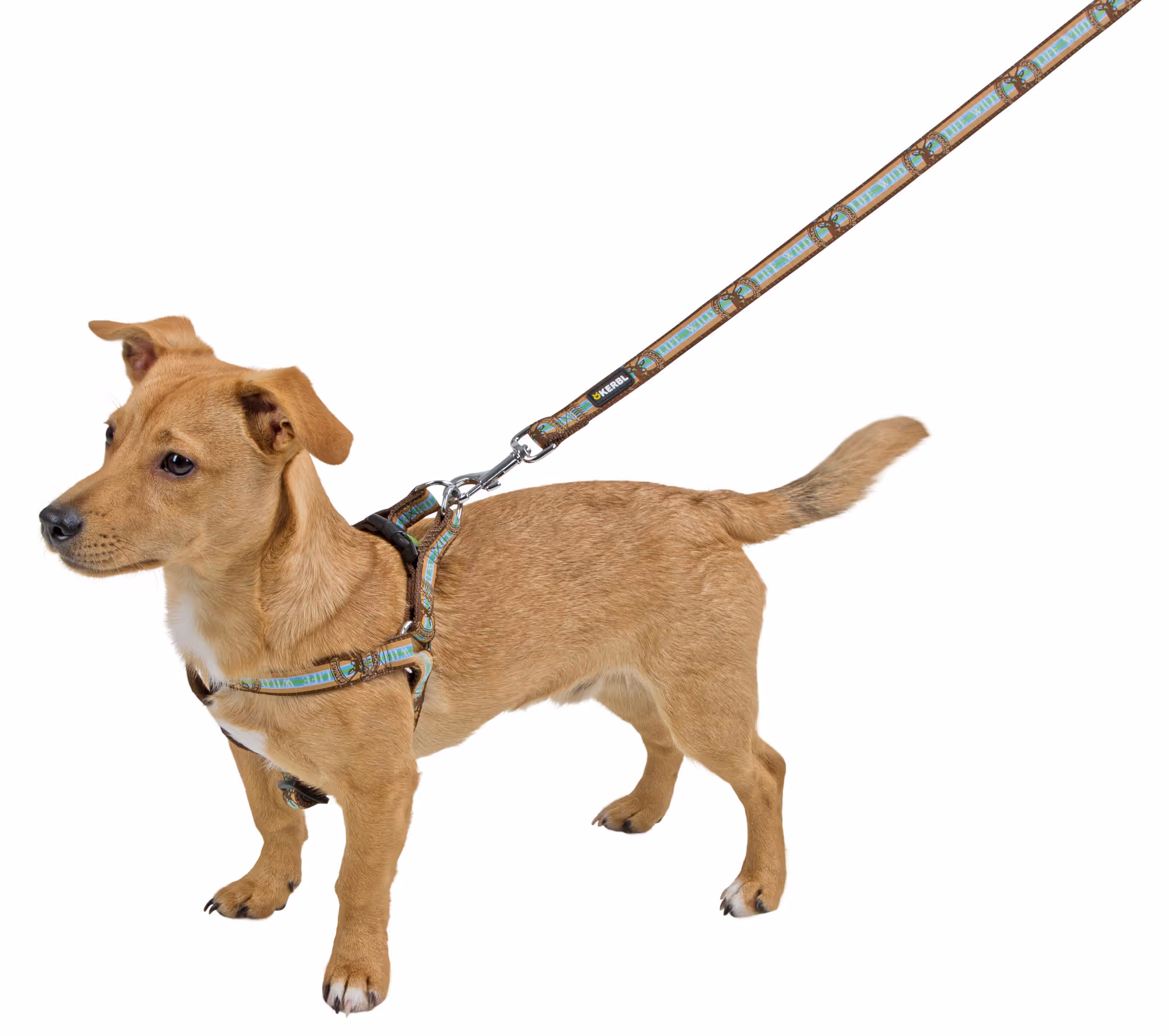Harnais Wild Life brun, 25-45cm/20mm