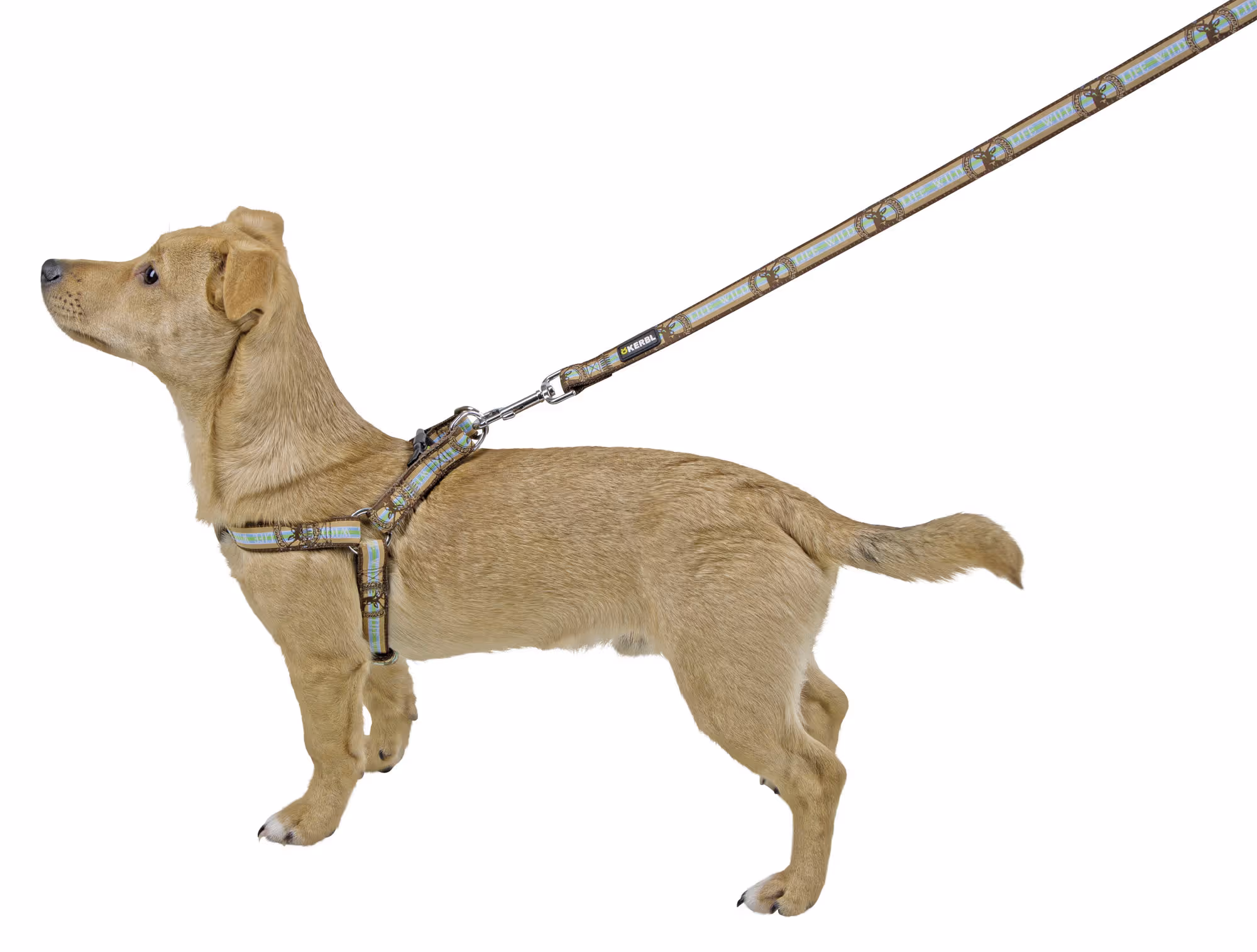 Harnais Wild Life brun, 50-80cm/25mm