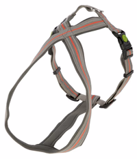Harnais Xenos gris/rouge, 50-80cm, 25mm