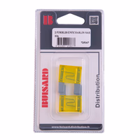 HF-2 FUSIBLES ENFICHABLES MAXI 20A