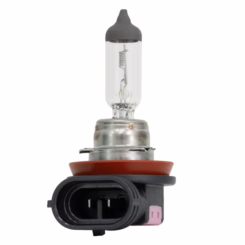 HF - AMPOULE H11 24V 70W