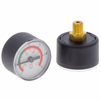 INDICATEUR DE COLMATAGE Hifi Filter INR 042311 M