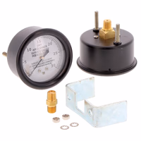 INDICATEUR DE COLMATAGE Hifi Filter SAIN 01MM017501