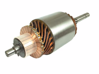 Induit démarreur - adaptable sur tracteurs Massey Ferguson, David Brown, Landini - ref 3212071R1