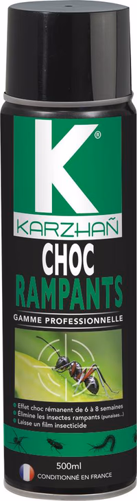 Insecticide CHOC INSECTES RAMPANTS - aérosol de 500ml