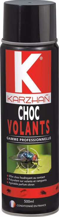 Insecticide CHOC INSECTES VOLANTS - aérosol de 500ml