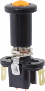 Inter 12v a tirer + voyant /coque