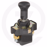 Interrupteur a tirette 2 bornes (bl. 1 pc)