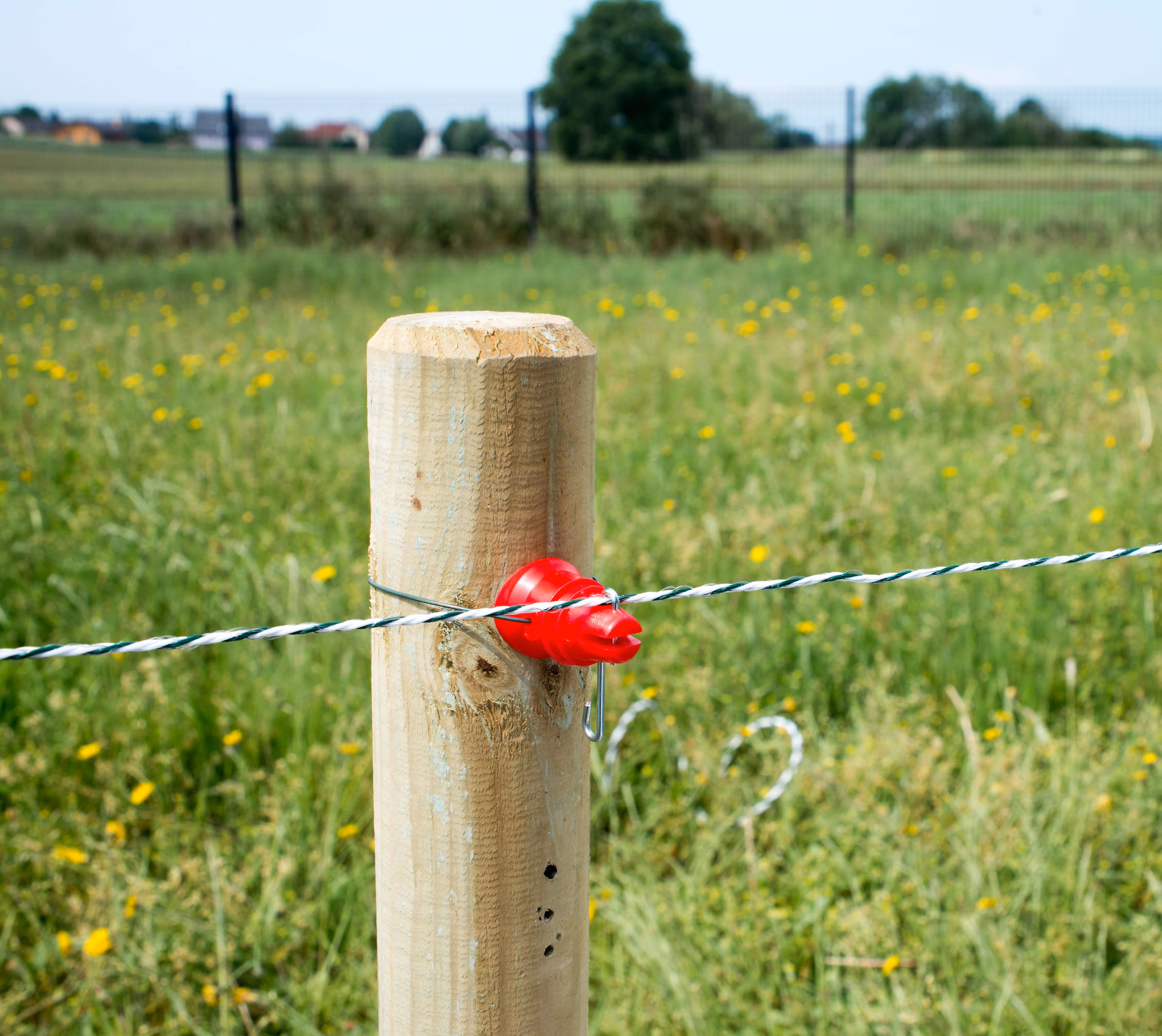 Isolateur goupille imperdable RBL par 100 pour piquets en bois