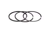 JCB | Kit de segments 3637033M91 adaptable