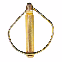 Jeu de goupilles clips