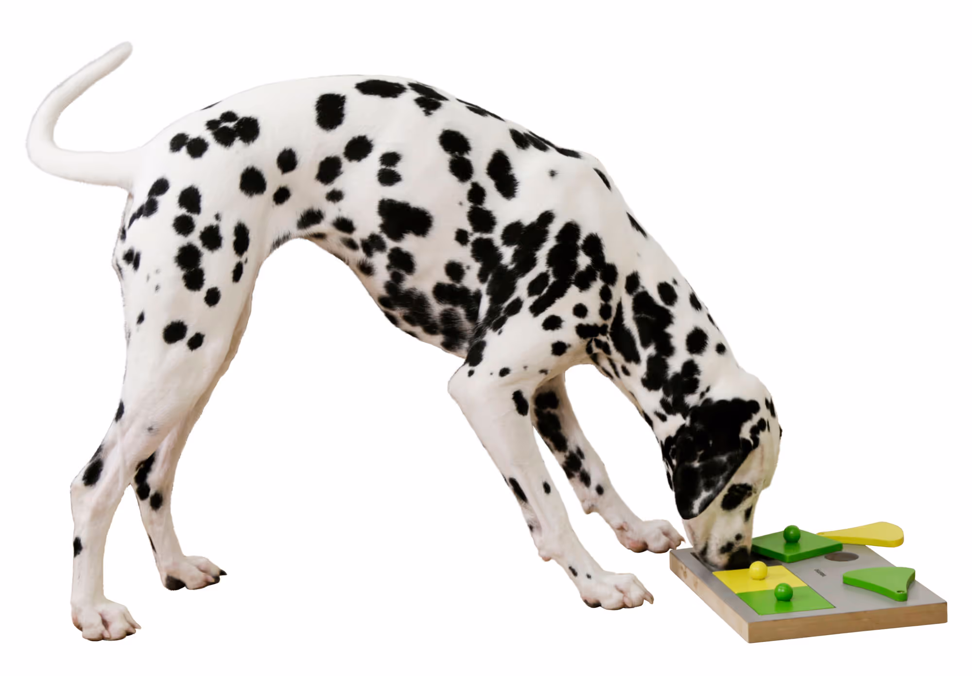 Jeu de réflexion/apprentissage Cake, 30X23cm