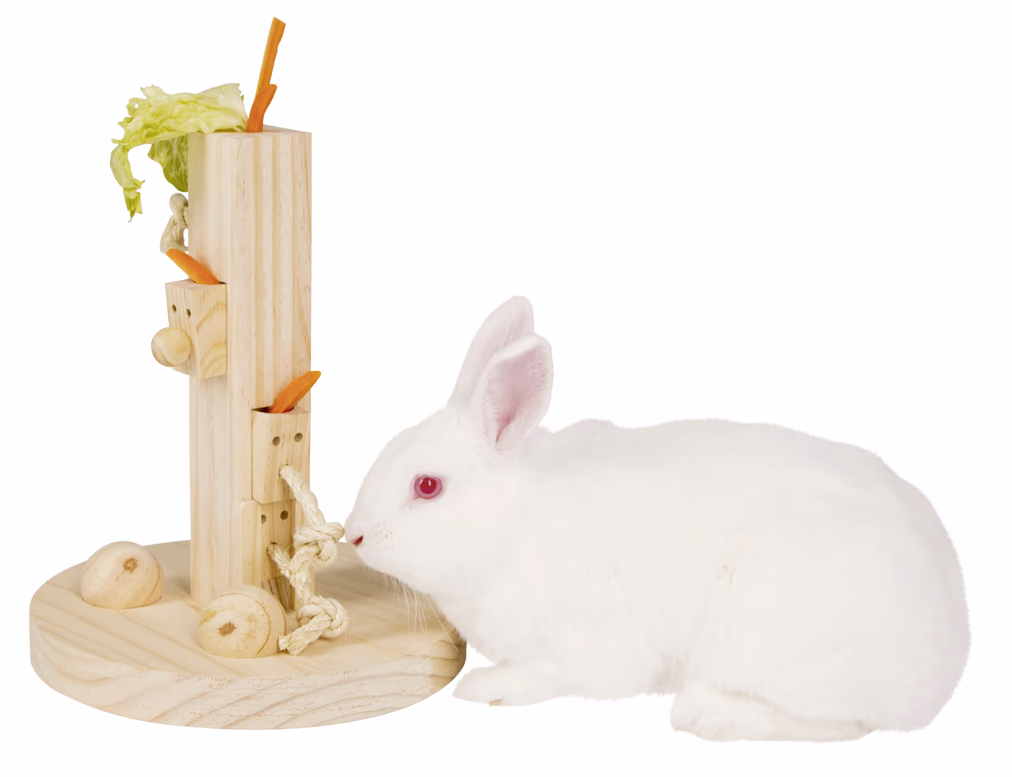 Jeu de réflexion Feedtree pour rongeur 25x25x30cm