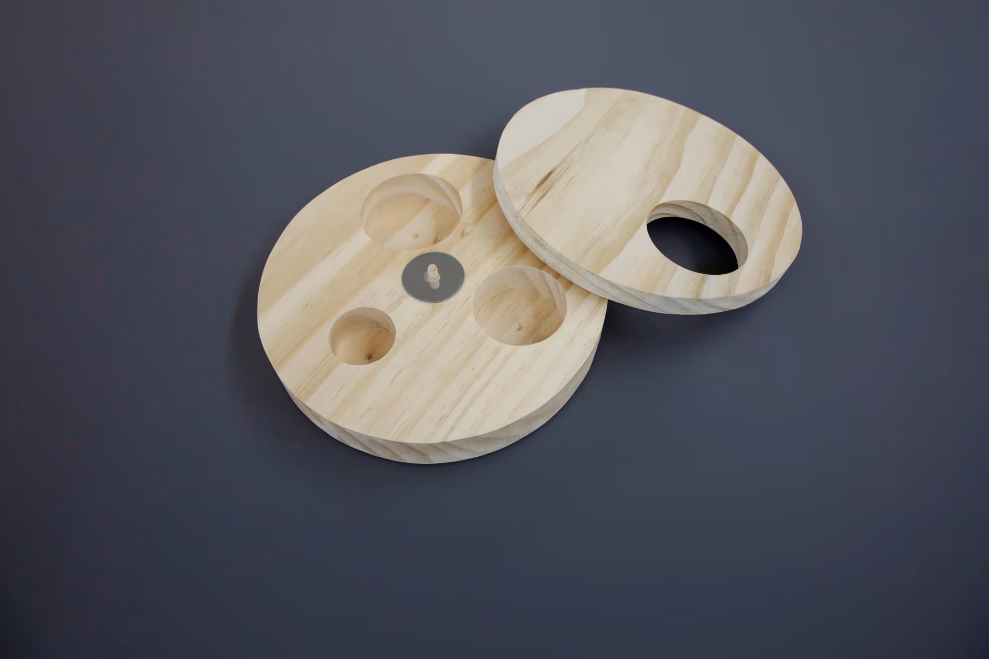 Jeu réflexion pour rongeur disque rotatif bois Ø19 cm