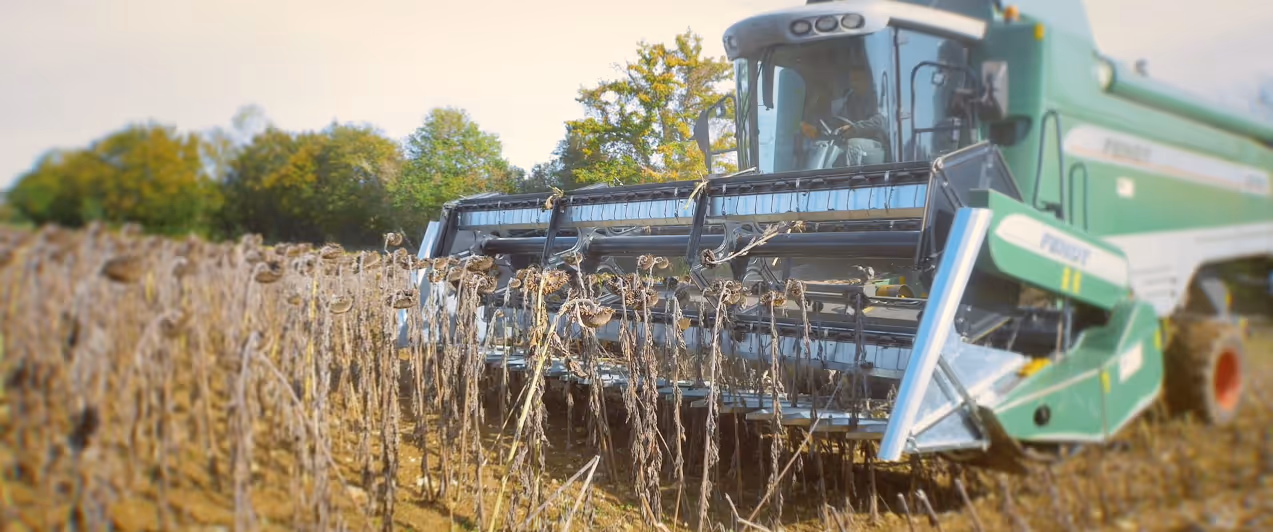 Jeux de plateaux tournesol, diviseurs inclus pour coupe CLAAS