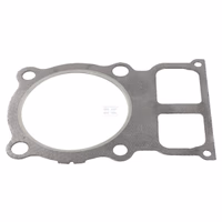 Joint de culasse Lombardini