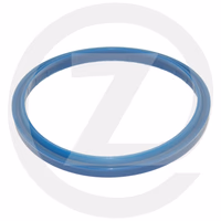 JOINT RACLEUR - 021700 - MERLO