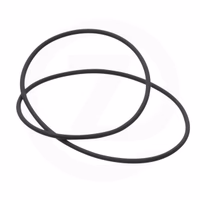 Joint torique 174 x 3 Rau