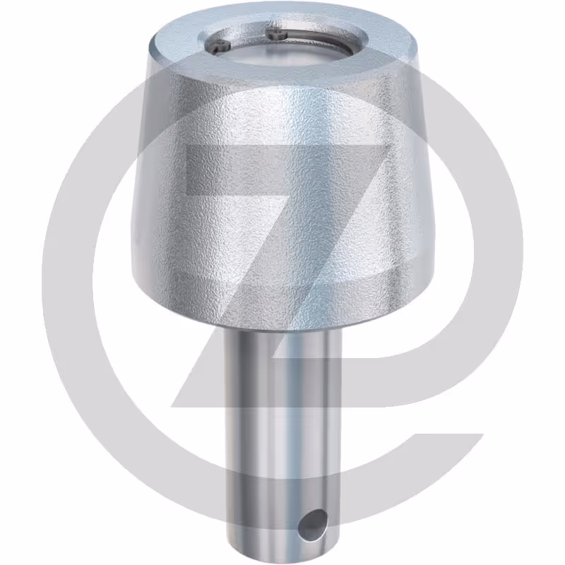 Jost Support de galet - ER 160 GOR, - en acier, sans bord