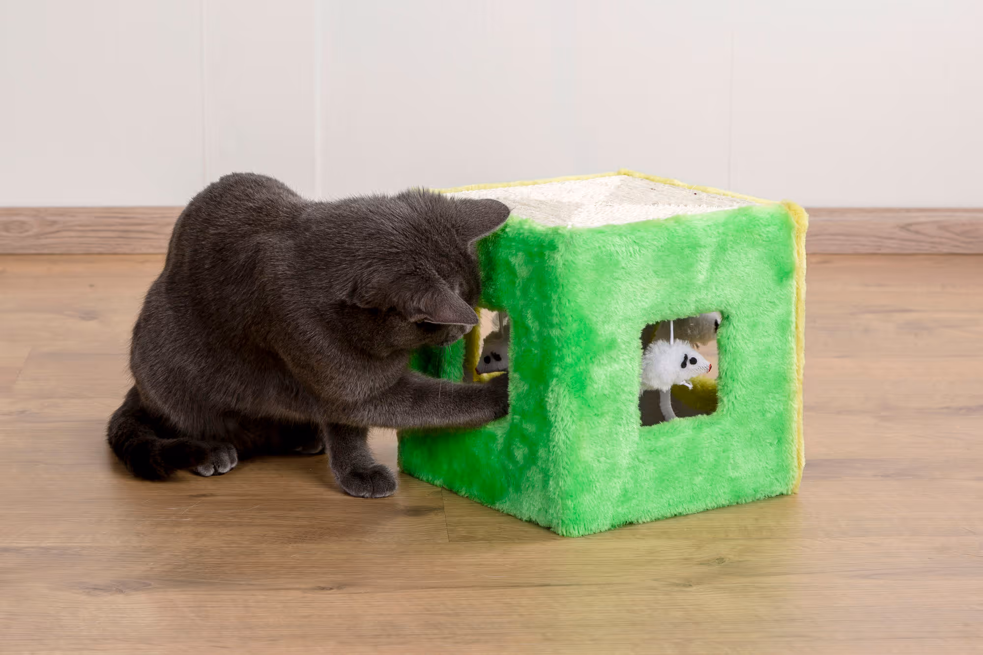 Jouet en sisal pour chat 20x20x20cm, vert/jaune