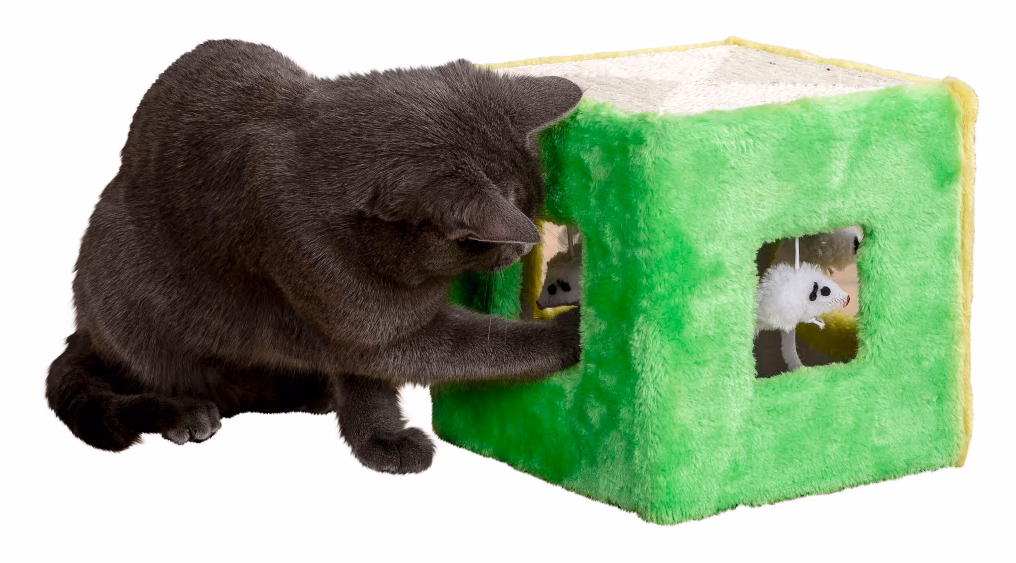 Jouet en sisal pour chat 20x20x20cm, vert/jaune