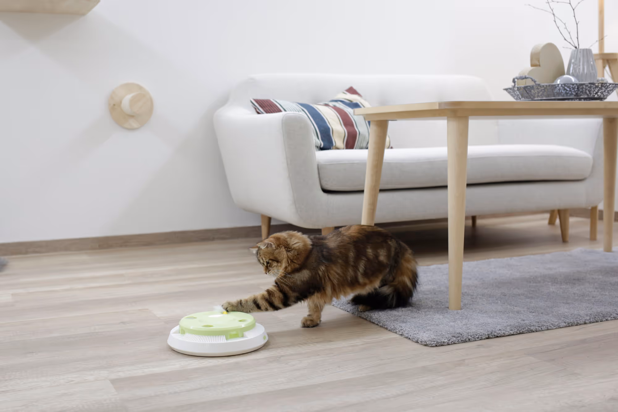 Jouet pour chat Pompom plastique, Ø26cm