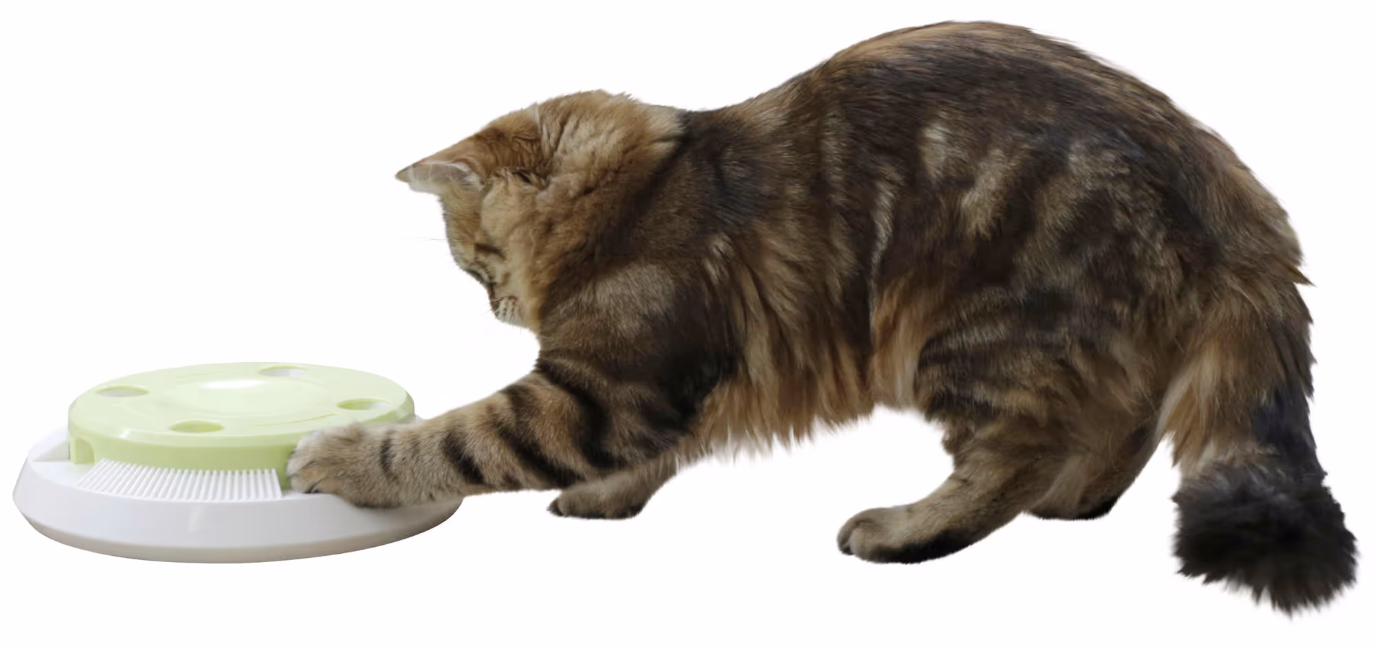 Jouet pour chat Pompom plastique, Ø26cm