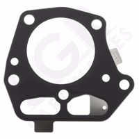 Kawasaki | JOINT CULASSE  FS 481 V BS51