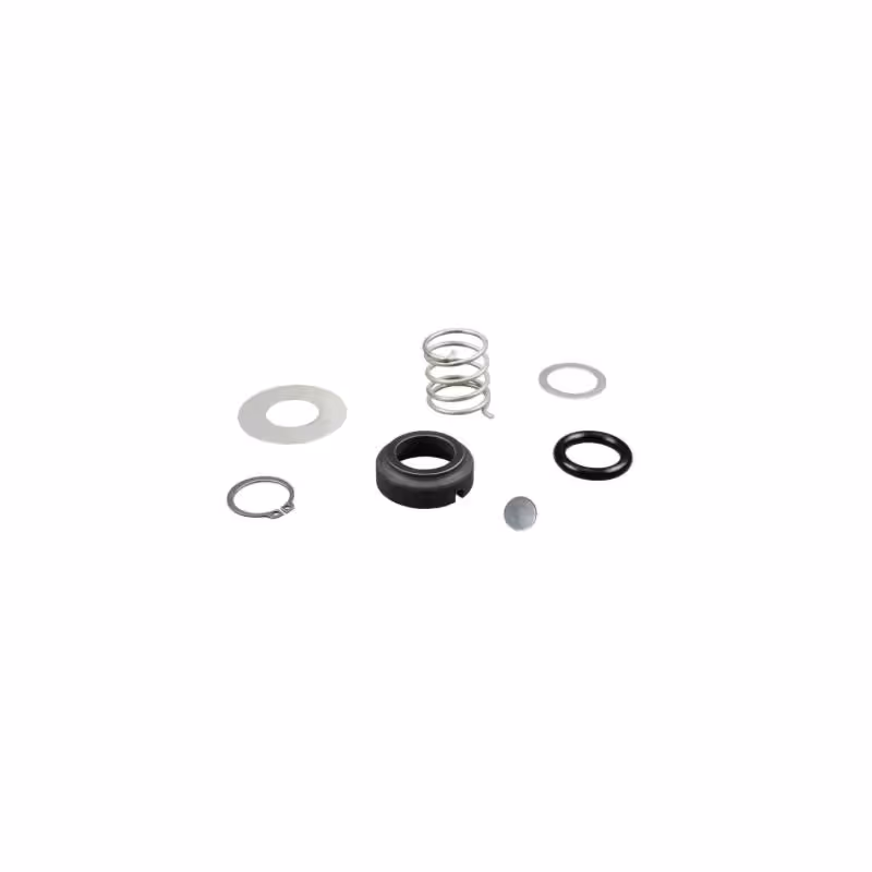 Kit d'entretien pour pompe à lait type Delaval FMP55