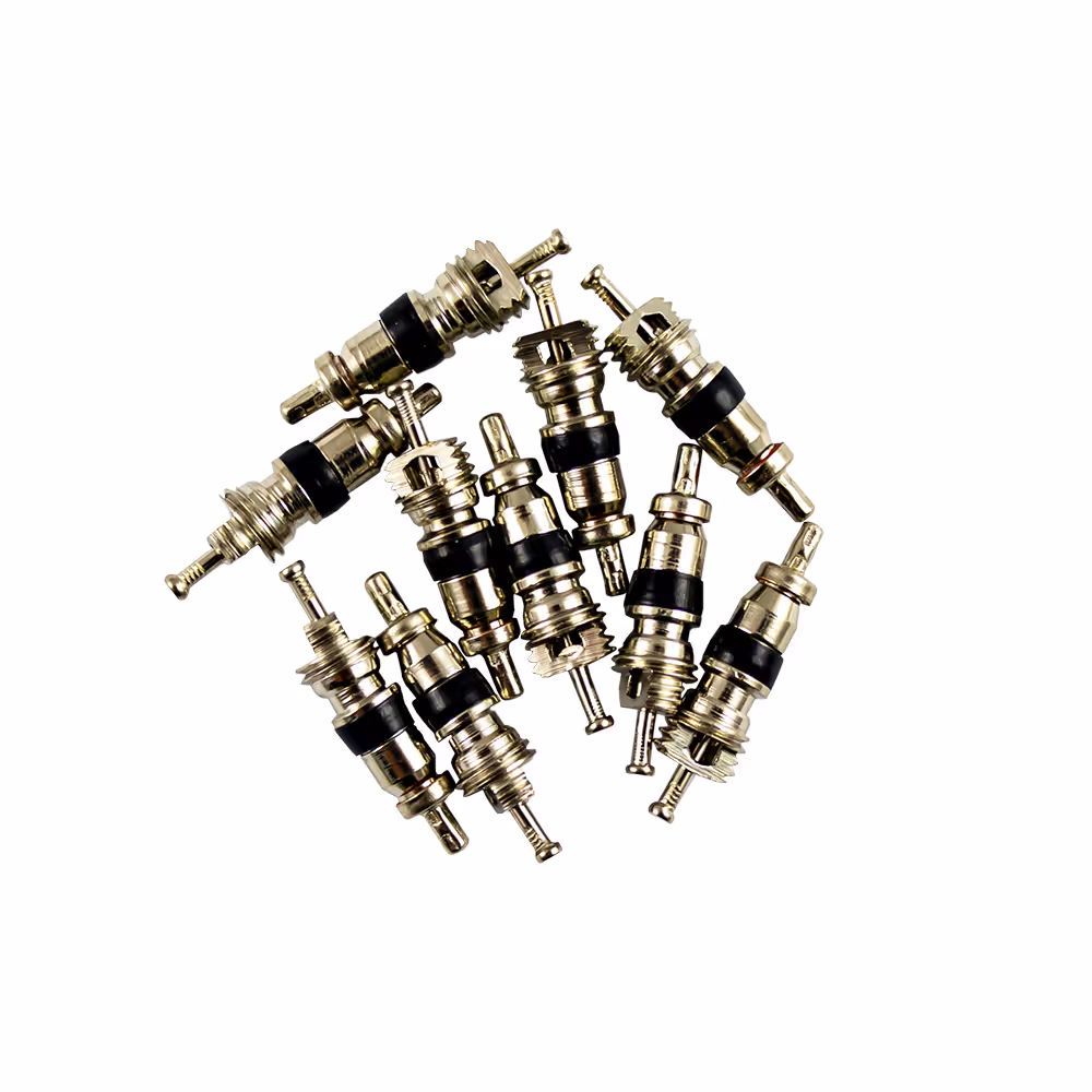 Kit de 10 soupapes pour réf. 53599 - 4x18 mm