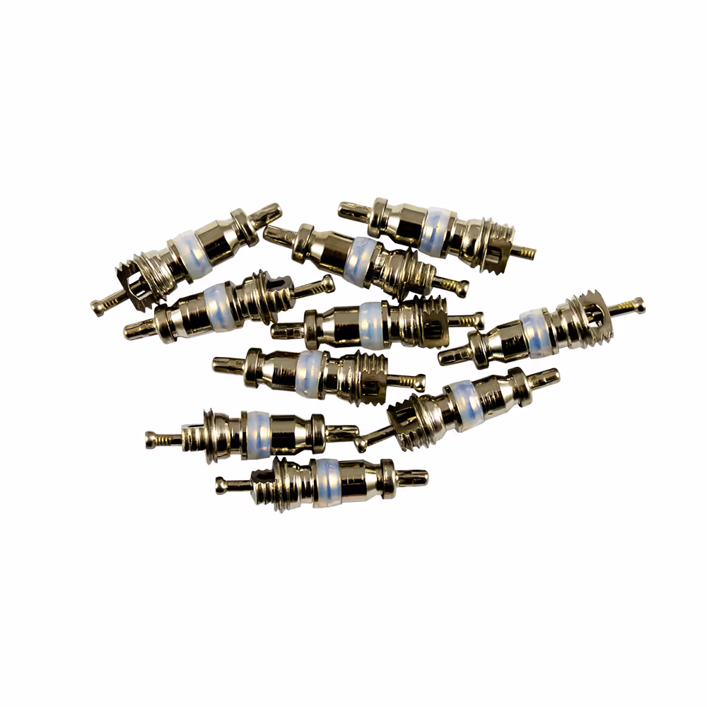 Kit de 10 soupapes pour réf. 53599 - 4x18 mm r12