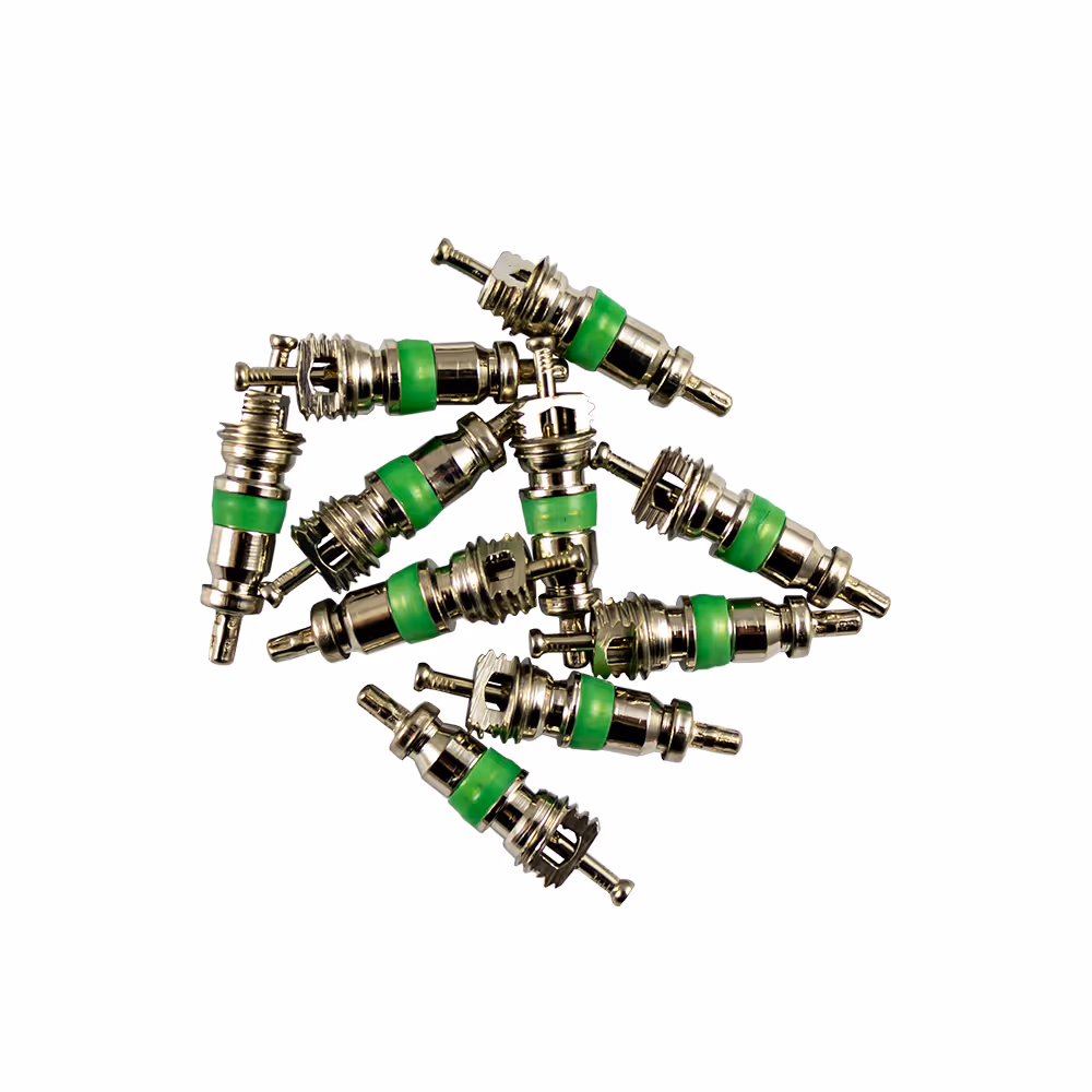 Kit de 10 soupapes pour réf. 53599 - 4x18 mm r12 (vert)