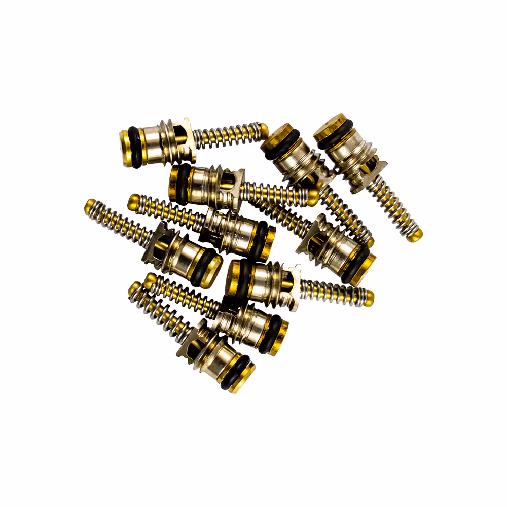 Kit de 10 soupapes pour réf. 53599 - 5x18 mm
