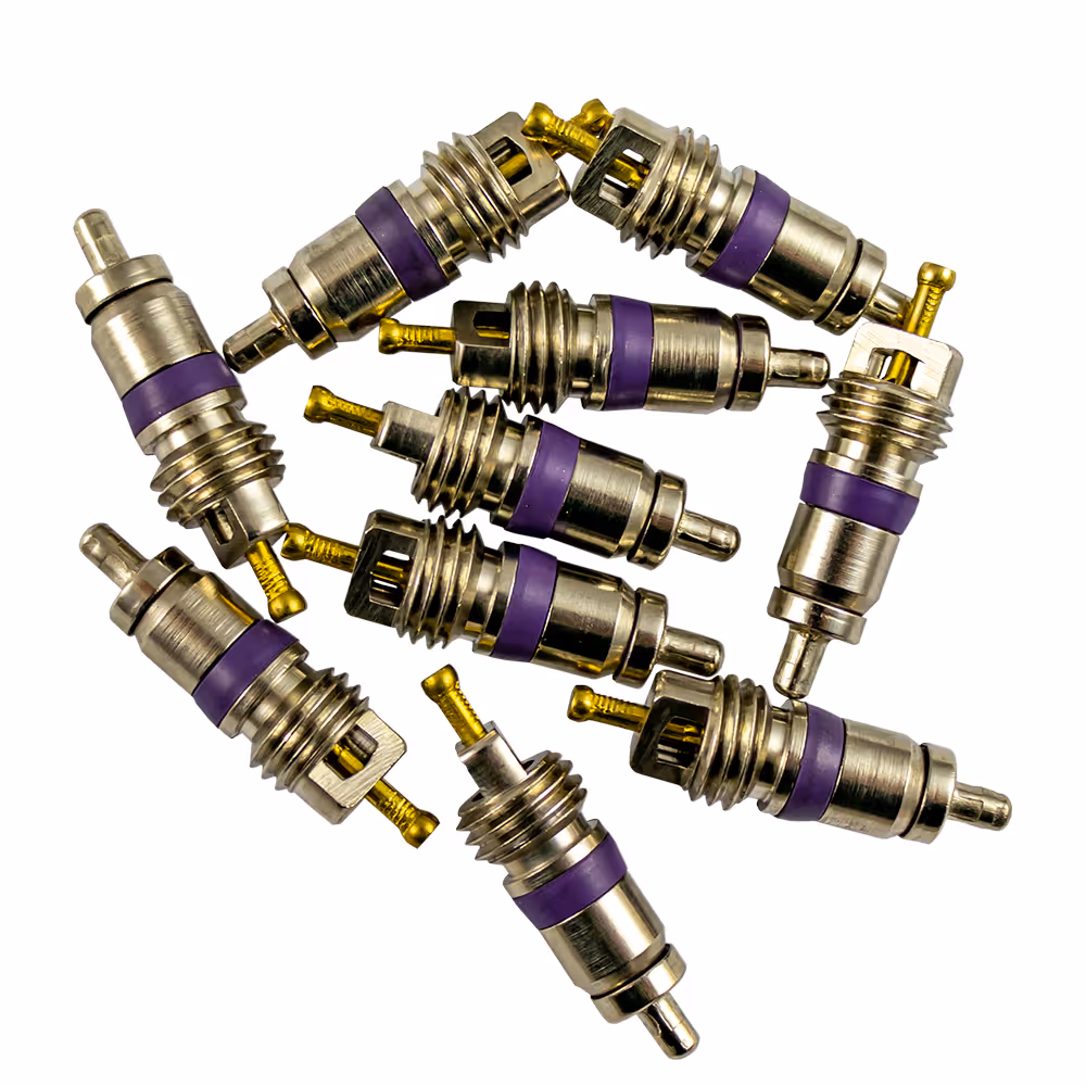 Kit de 10 soupapes pour réf. 53599 - 5x25 mm
