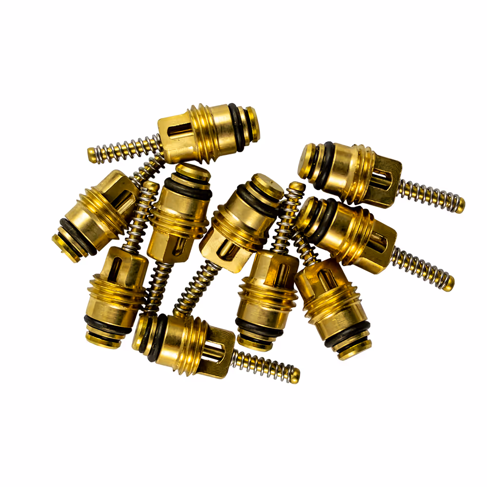 Kit de 10 soupapes pour réf. 53599 - 6x22 mm