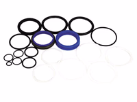 Kit de joints (Latéral Cylindre de direction) - adaptable sur tracteurs David Brown, Case IH - ref K261926